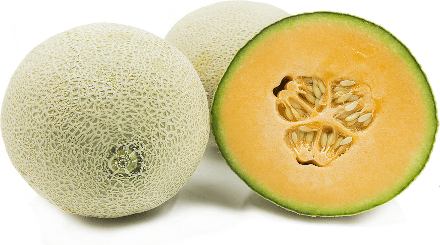 Cantaloupe cukrový ananasový meloun