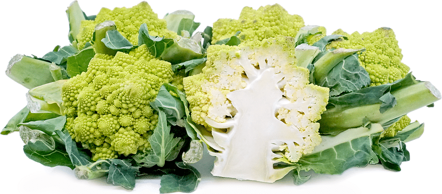 Květák odrůda Romanesco