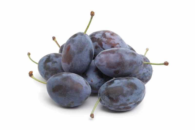 Plody třešně Damson